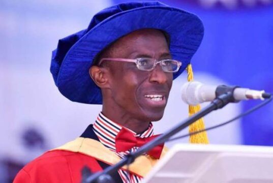 University Of Ibadan Appoints Prof Olapegba As New VC Professor Peter Olamakinde Olapegba