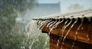 Physicians To Nigerians: Bathing With Rainwater May Trigger Skin Infection