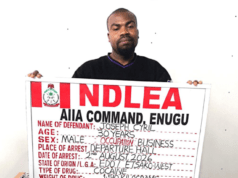NDLEA Nabs Italy-Based Businessman With 98 Wraps Of Cocaine At Enugu Airport