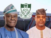 NBF President, Wale Edun Queries Alleged ‘NBF Pro’ Initiative, Calls for Clarification