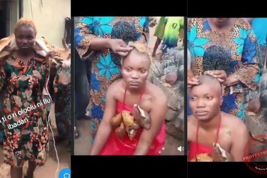 Omoyele Sowore: Wasilat, Lady Tiktoker Accused Of Filming Oloolu Was Abused Wasilat, lady accused of filming Oloolu...now being defended by Omoyele Sowore...