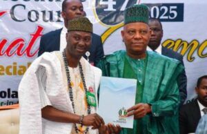 Akande Celebrates Shettima At 60, Commends Contributions To Nation