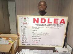 NDLEA Nabs Ex-Convict Posing As Herbal Tea Dealer