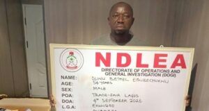 NDLEA Nabs Ex-Convict Posing As Herbal Tea Dealer