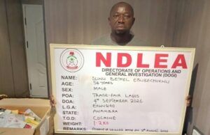 NDLEA Nabs Ex-Convict Posing As Herbal Tea Dealer