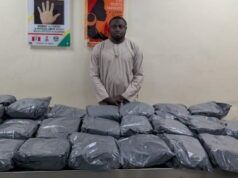 NDLEA Intercepts Colorado Shipments From UK, Uncovers Opioids In Loaves Of Bread, Speakers