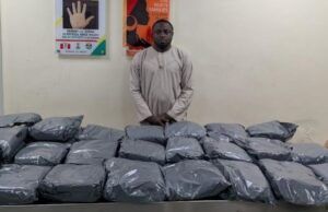 NDLEA Intercepts Colorado Shipments From UK, Uncovers Opioids In Loaves Of Bread, Speakers