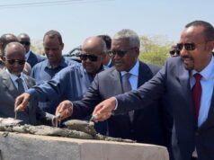 $160 Million Djibouti-Ethiopia Pipeline To Boost Trade, Energy Security—Dangote