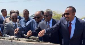 $160 Million Djibouti-Ethiopia Pipeline To Boost Trade, Energy Security—Dangote