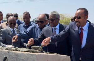 $160 Million Djibouti-Ethiopia Pipeline To Boost Trade, Energy Security—Dangote