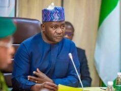 Every Nigerian Should Undergo Military Training—Defense Minister