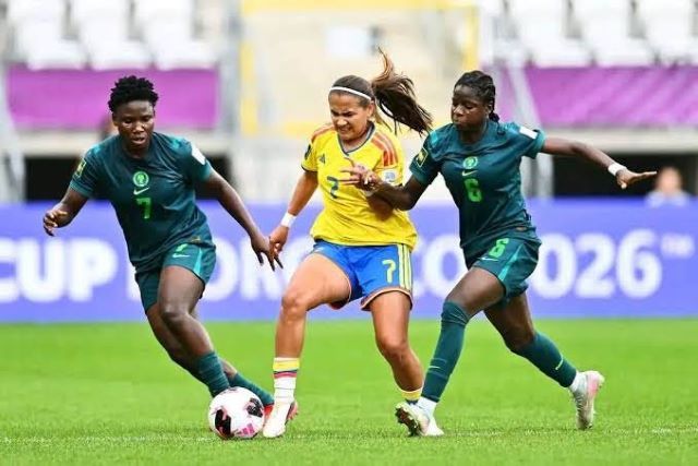 Falconets loss
