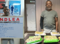 NDLEA Nabs Fugitive Drug Kingpin, Festus Ibewuike, After Years On The Run