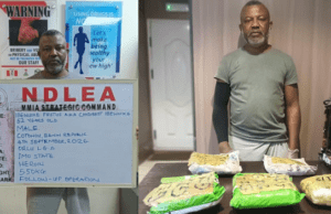 NDLEA Nabs Fugitive Drug Kingpin, Festus Ibewuike, After Years On The Run