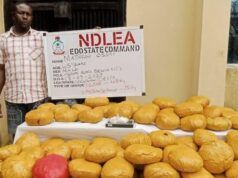 NDLEA Intercepts N3.4bn Loud, Opioids, Arrests Fake Police Officer, Mechanic-Drug Dealer