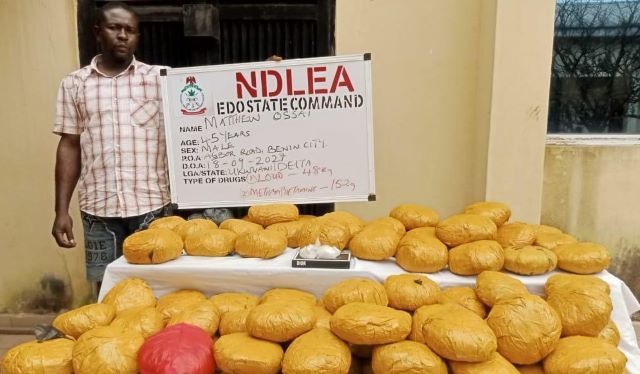 NDLEA bust