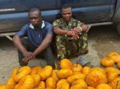 Naval Officer, Driver Arrested For Drug Trafficking