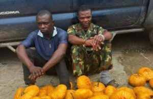 Naval Officer, Driver Arrested For Drug Trafficking