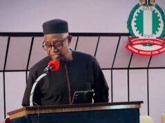 Turn Sports Into Nigeria’s Economic Goldmine, Odegbami Urges FG