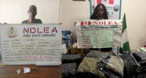 NDLEA Arrests 83-Year-Old Grandma, South African Lady With Colos, Meth Shipments