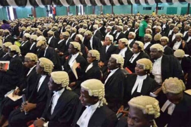 Lawyers