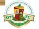 Council Polls Hold On Dec 29 In Oyo State—Oyelade
