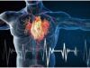 Experts Reveal How High Cholesterol Can Trigger Heart Attack ...cholesterol flow in diagram...