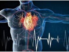 Experts Reveal How High Cholesterol Can Trigger Heart Attack ...cholesterol flow in diagram...