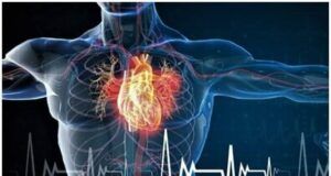 Experts Reveal How High Cholesterol Can Trigger Heart Attack ...cholesterol flow in diagram...
