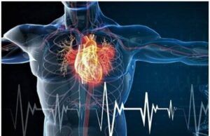 Experts Reveal How High Cholesterol Can Trigger Heart Attack ...cholesterol flow in diagram...